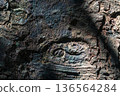 A natural material for tourism promotion, corporate presentations, and slideshows. 136564284