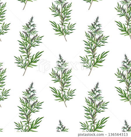 Mugwort plant stem seamless pattern on white background. Hand drawn artemisia vulgaris medicinal herb watercolor illustration. Fresh mugwort branch leaves, flowers alternative herbal medicine element Mugwort plant stem seamless pattern on white background. Hand drawn artemisia vulgaris medicinal herb watercolor illustration. Fresh mugwort branch leaves, flowers alternative herbal medicine element 136564313