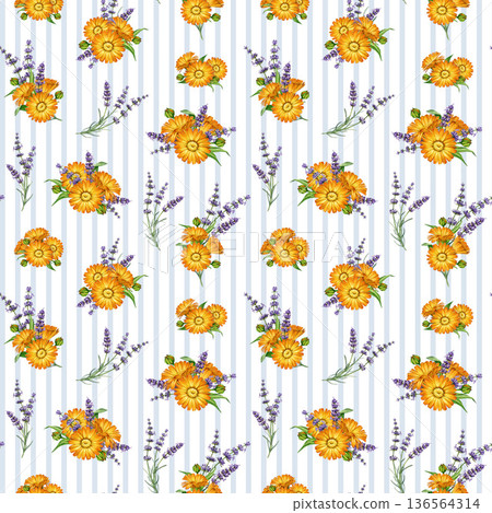 Calendula blossoms mixed with lavender flowers seamless pattern watercolor illustration. Hand drawn fresh calendula flowers and lavender stems bright floral decor element on striped background Calendula blossoms mixed with lavender flowers seamless pattern watercolor illustration. Hand drawn fresh calendula flowers and lavender stems bright floral decor element on striped background 136564314
