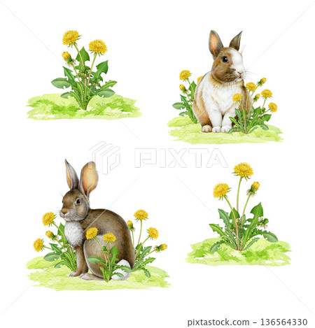 Cute bunny with spring flowers hand drawn set. Easter mood vintage style cozy springtime watercolor illustration. Easter bunnies with dandelion flowers on white background vintage style collection 136564330