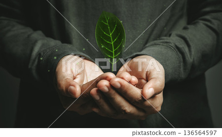 Green Energy, Renewable and Sustainable Resources in Environmental Concept 136564597