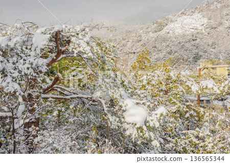 京都冬景-左大文字寺的雪景 京都冬景-左大文字寺的雪景 136565344