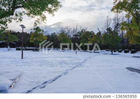 黃昏前漫步在白雪皚皚的公園裡。 136565950