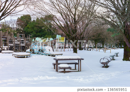 遊樂場設施和體育設施被雪掩埋 136565951