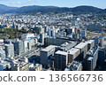 從京都塔眺望京都城市景觀（攝於2026年1月） 136566736