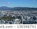 從京都塔眺望京都城市景觀（攝於2026年1月） 136566741