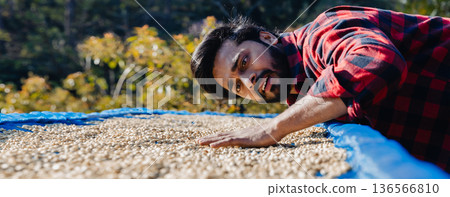 Male worker inspect and tossing dried coffee beans with hands at farm outdoors 136566810