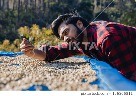 Male worker inspect and tossing dried coffee beans with hands at farm outdoors 136566811