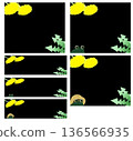Dandelion and frog banner set (rectangular, horizontal, black background) 136566935