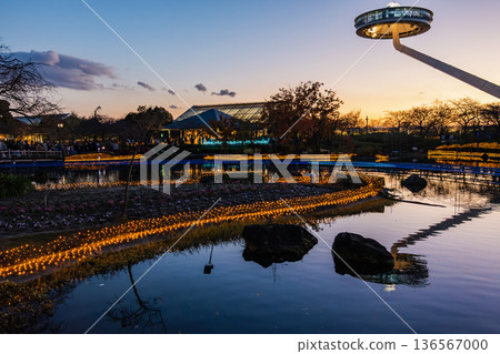 Sunset on the surface of the water 136567000
