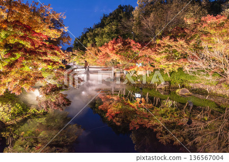 Yubatake in autumn, colored by autumn leaves Yubatake in autumn, colored by autumn leaves 136567004