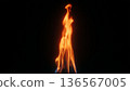 Burning Flame 136567005