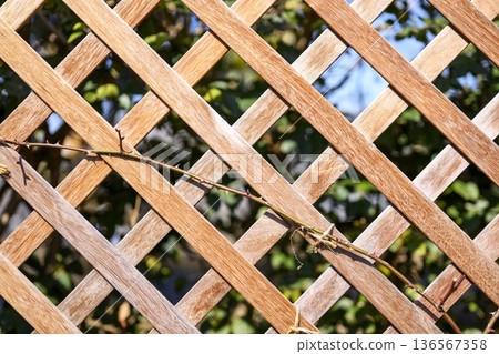 Garden wood fence wooden privacy image 136567358