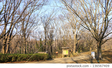 橫濱市戶塚區舞岡故鄉公園的冬季 橫濱市戶塚區舞岡故鄉公園的冬季 136567409