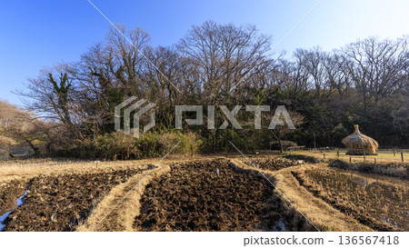 橫濱市戶塚區舞岡故鄉公園的冬季 橫濱市戶塚區舞岡故鄉公園的冬季 136567418