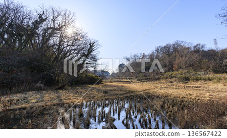 橫濱市戶塚區舞岡故鄉公園的冬季 136567422
