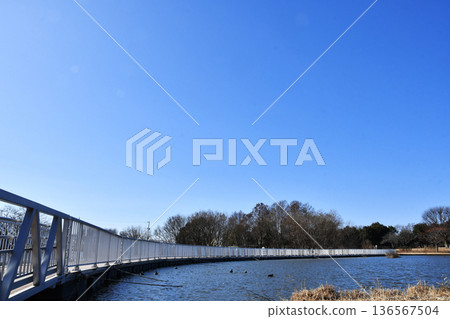 羽生水鄉公園水禽池_02 136567504