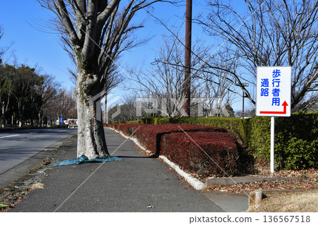 羽生水鄉公園停車場入口_02 羽生水鄉公園停車場入口_02 136567518