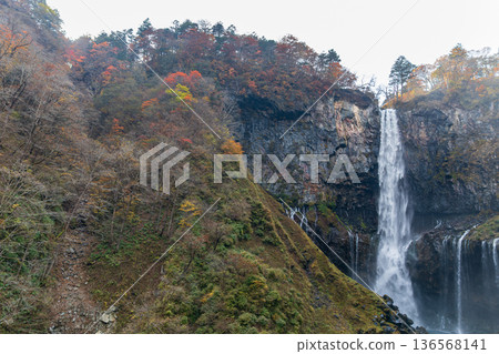 栃木縣日光市中宮寺附近華嚴瀑布的景色 136568141