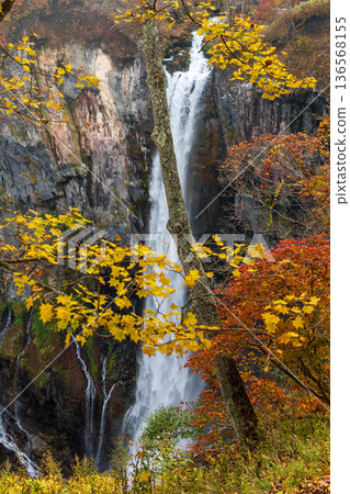 Scenery around Kegon Falls, Chuguji Shrine, Nikko City, Tochigi Prefecture 136568155
