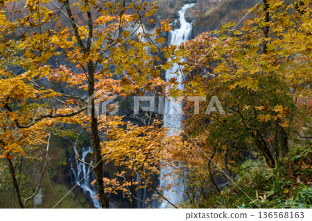 栃木縣日光市中宮寺附近華嚴瀑布的景色 136568163