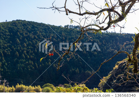 Tonozume, Morimachi, Shuchi District, Shizuoka Prefecture: Mountain village scenery 136568340