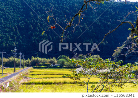 Tonozume, Morimachi, Shuchi District, Shizuoka Prefecture: Mountain village scenery Tonozume, Morimachi, Shuchi District, Shizuoka Prefecture: Mountain village scenery 136568341