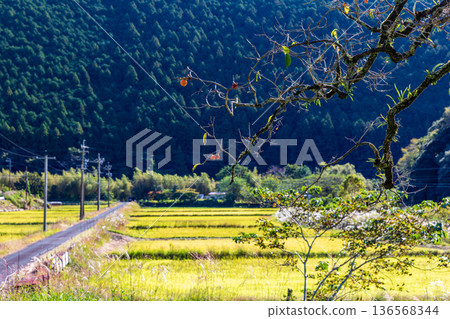 靜岡縣秀知郡守町戶野爪：山村風光 136568344