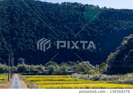 靜岡縣秀知郡守町戶野爪:山村風光 靜岡縣秀知郡守町戶野爪:山村風光 136568378