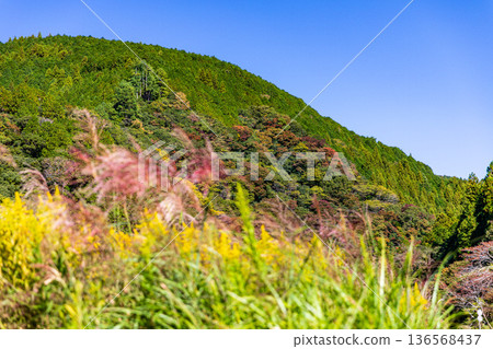 靜岡縣秀知郡守町戶野爪：山村風光 136568437
