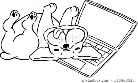 Rolling belliy up french bulldog Outline on laptop hand drawn frenchie derp dog Rolling belliy up french bulldog Outline on laptop hand drawn frenchie derp dog 136568525