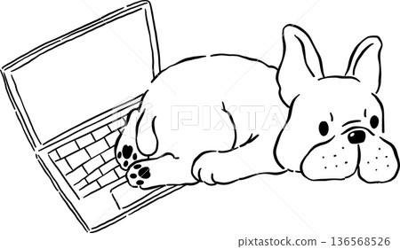Sploot french bulldog Outline on laptop hand drawn frenchie derp dog Sploot french bulldog Outline on laptop hand drawn frenchie derp dog 136568526