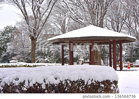 在東京的雪域景觀 在東京的雪域景觀 136568736