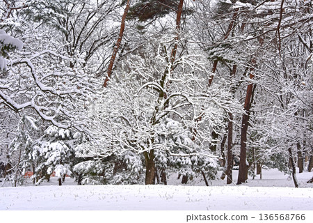 在東京的雪域景觀 136568766