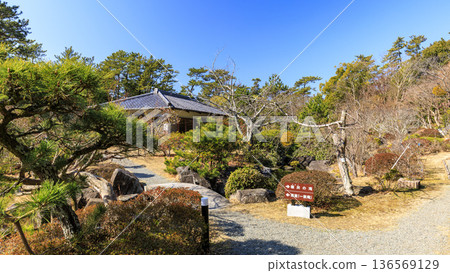 葉山潮騷公園的初春 136569129