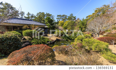 葉山潮騷公園的初春 葉山潮騷公園的初春 136569131