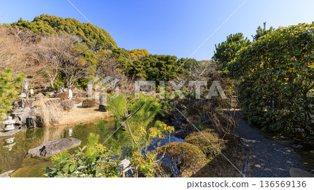 葉山潮騷公園的初春 136569136