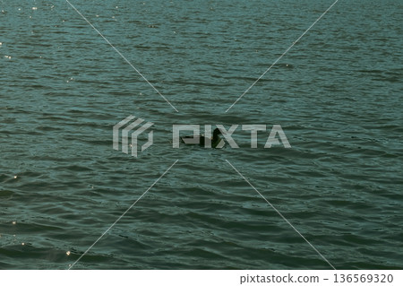 平靜的湖面反射著光線 平靜的湖面反射著光線 136569320