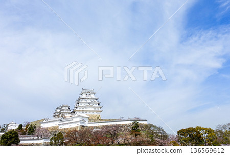 春日碧空，姬路城，位於兵庫縣姬路市，是世界遺產和國寶。 136569612