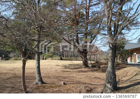 宮城縣仙台市泉區水之森公園的冬季景色 宮城縣仙台市泉區水之森公園的冬季景色 136569787