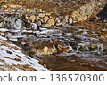 The frozen flow of the stone dam of the Ezawa River, a national tangible cultural property 136570300