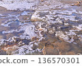 Ice decorating the surface of the Ezawa River 136570301