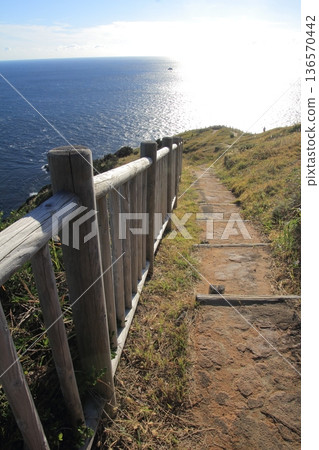Landscape of Cape Takamo, Ainan Town, Ehime Prefecture 136570442