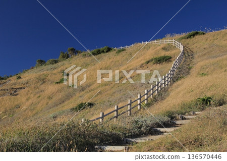 Landscape of Cape Takamo, Ainan Town, Ehime Prefecture 136570446