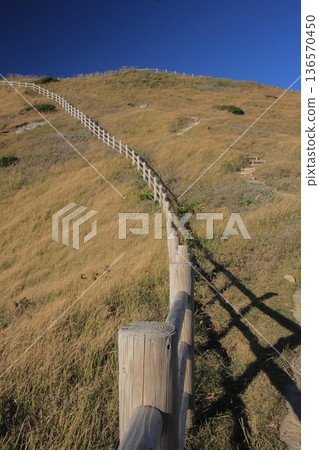 Landscape of Cape Takamo, Ainan Town, Ehime Prefecture 136570450