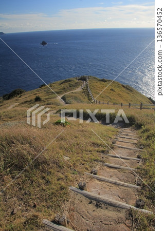 Landscape of Cape Takamo, Ainan Town, Ehime Prefecture 136570452