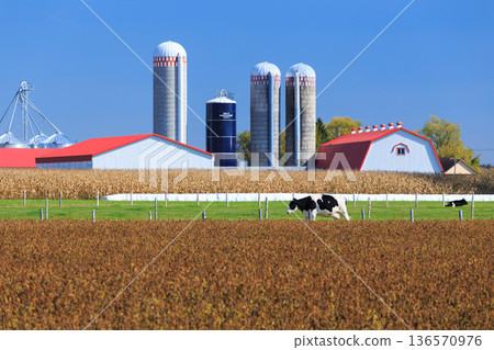 Canadian agriculture and dairy farming landscape Canadian agriculture and dairy farming landscape 136570976