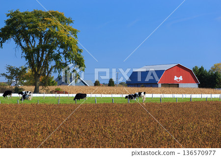 加拿大農業與乳牛養殖業概況 136570977