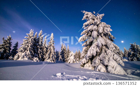 Snow Covered Winter Forest Landscape Snow Covered Winter Forest Landscape 136571352