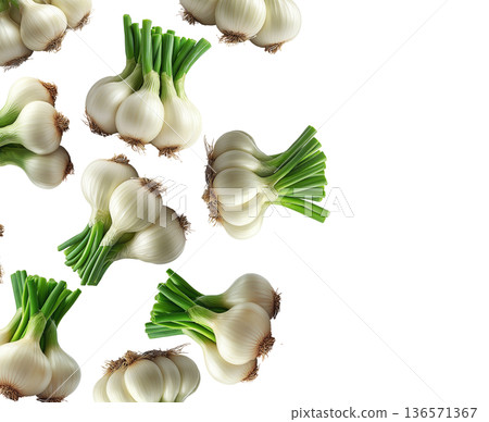 Multiple fresh spring garlic bunches with green stalks arranged isolated on white background, concept of harvest 136571367